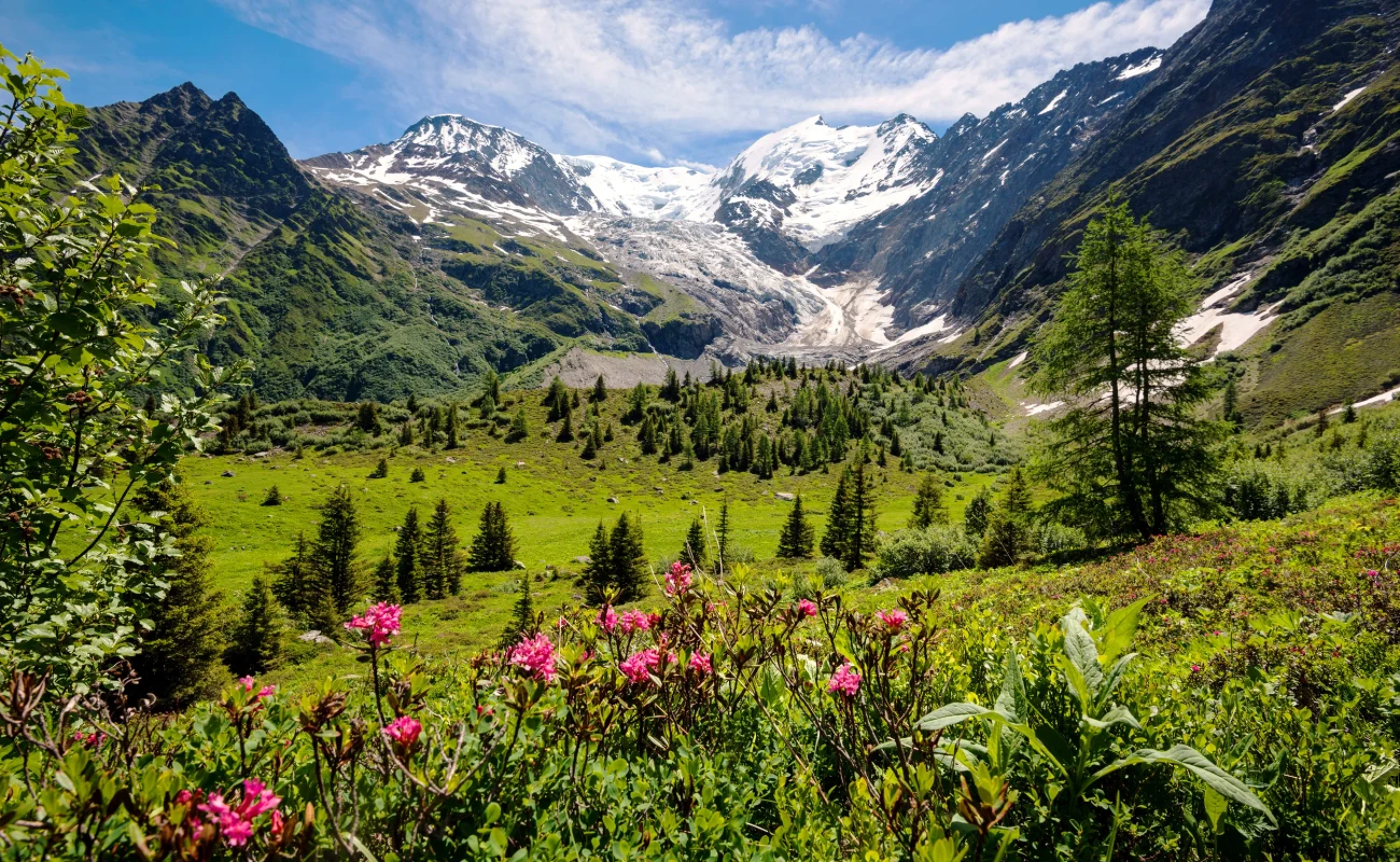 Amazing panorama of French Apls, part of famous trekk - Tour du Mont Blanc