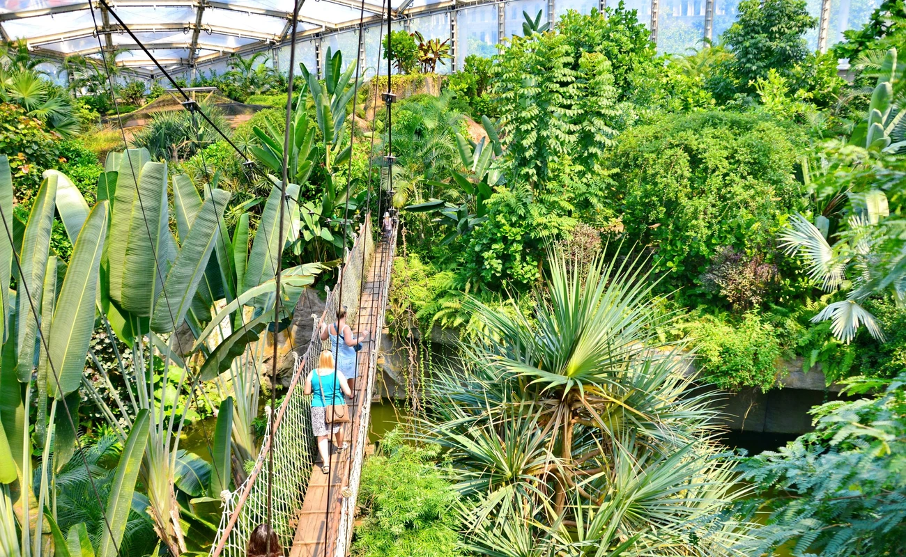 Zoo, Gondwanaland, Rundgangweg, Urwaldvegetation, Hängebrücke, Kanal,