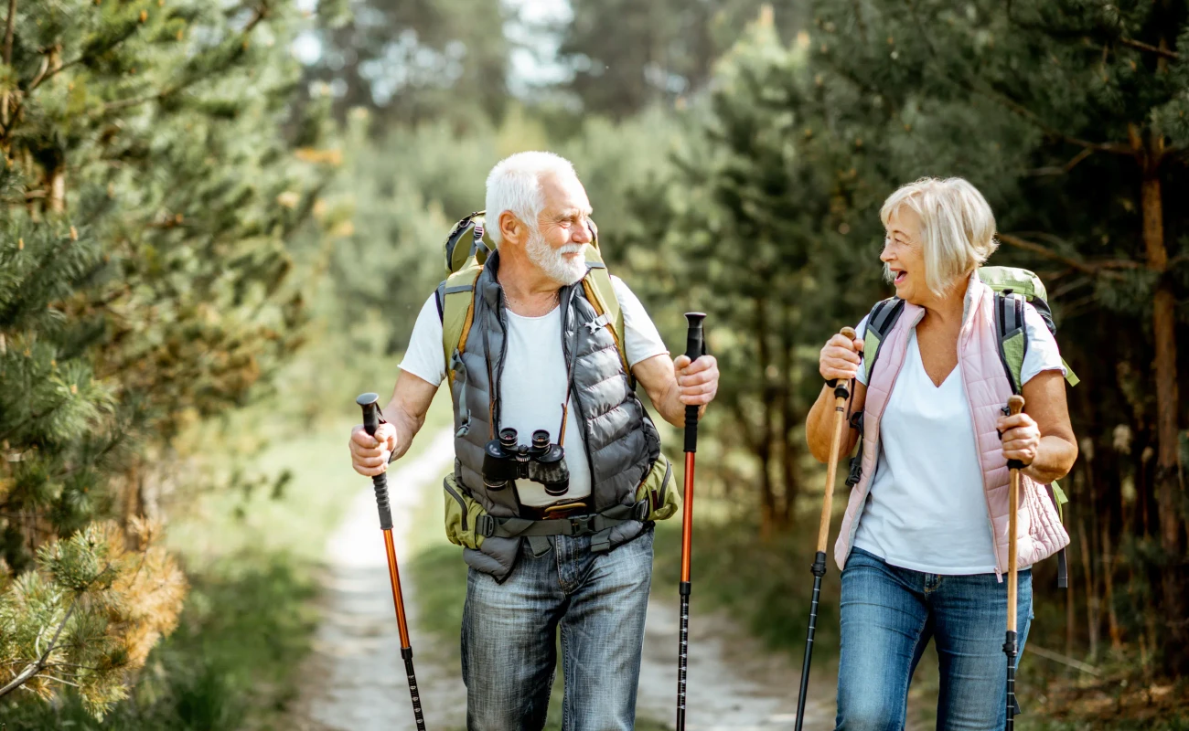 Happy senior couple hiking with trekking sticks and backpacks at the young pine forest. Enjoying nature, having a good time on their retirement