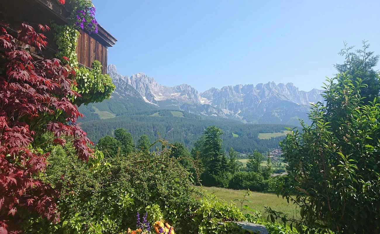 Blick auf den Wilden Kaiser