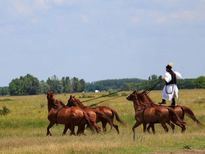 Reiter in der Puszta