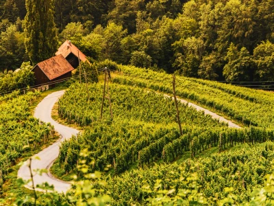 Famous Heart shaped wine road in Austria , Slovenia in summer, Heart form - Herzerl Strasse with a couple, surrounded with vineyards in summer. Tourist spot