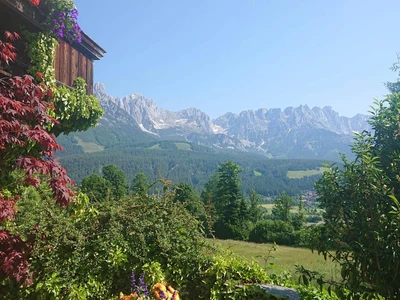 Blick auf den Wilden Kaiser
