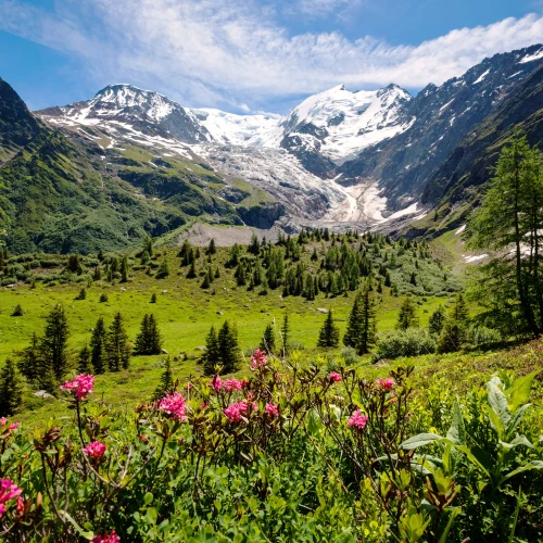 Gipfeltreffen in der Schweiz – 
Matterhorn & Mont Blanc