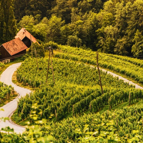Kultur, Natur & Genuss in Slowenien