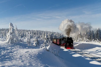 Weihnachten und Silvester im Harz 